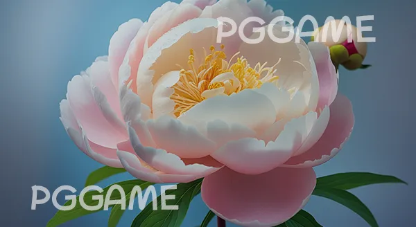 กลิ่นพีโอนี เป็นยังไง