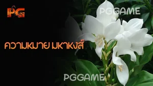 ความหมาย มหาหงส์