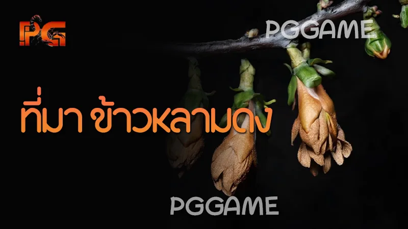 ที่มา ข้าวหลามดง