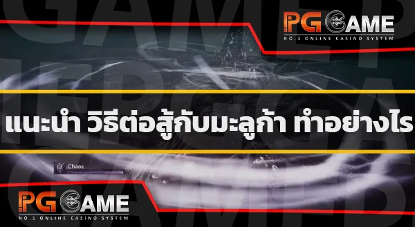 ต่อสู้กับ มะลูก้า