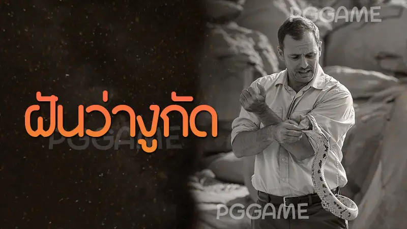 ฝันว่างูกัด