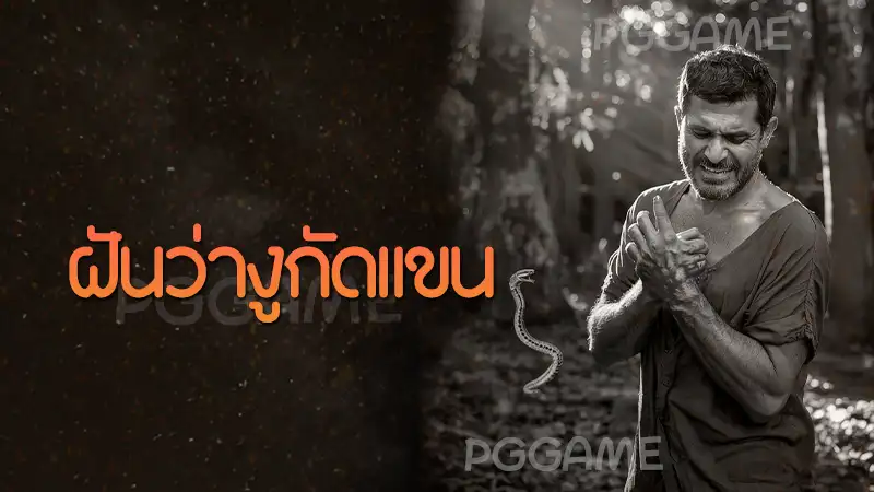 ฝันว่างูกัดแขน