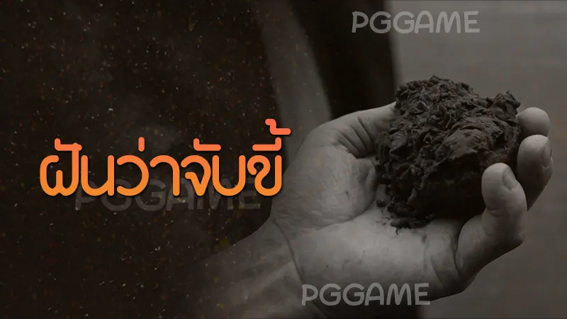 ฝันว่าจับขี้