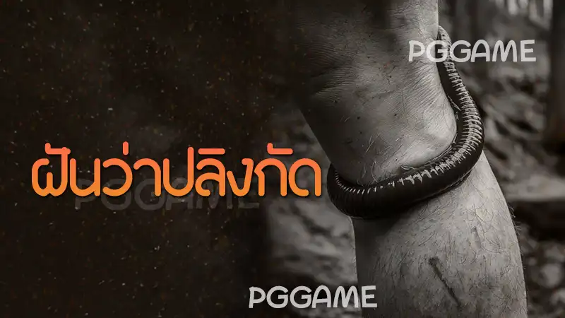 ฝันว่าปลิงกัด