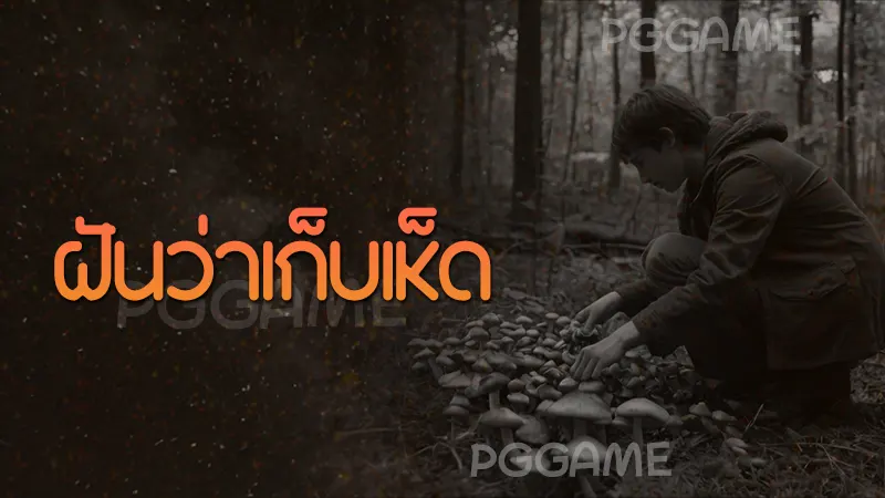 ฝันว่าเก็บเห็ด