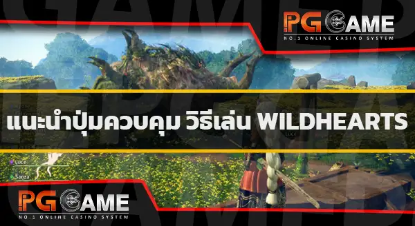 วิธีเล่น Wild Hearts