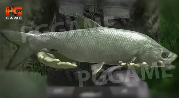 การเล่น Fishing Adventure