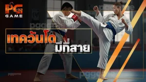 เทควันโด มีกี่สาย