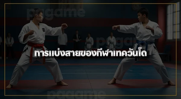 เทควันโด มีกี่สาย