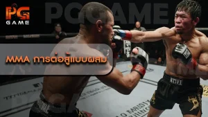 MMA การต่อสู้แบบผสม