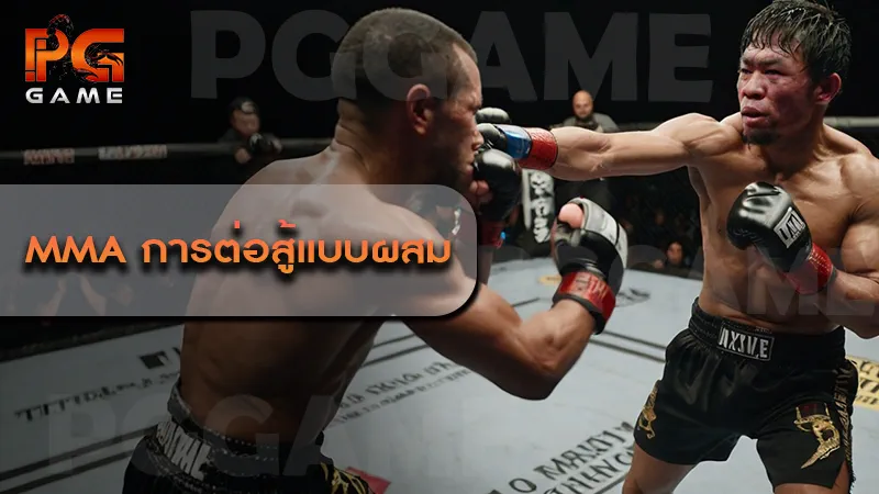 MMA การต่อสู้แบบผสม