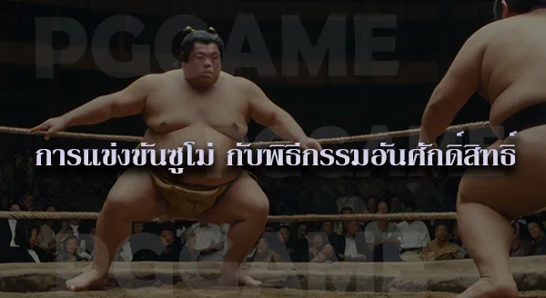 Sumo ศิลปะการต่อสู้