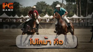 โปโลม้า คือ