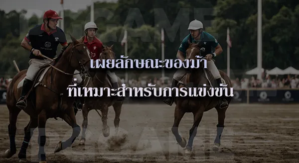 โปโลม้า คือ